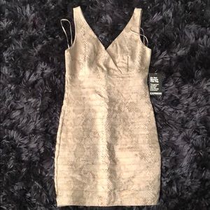 Express mini dress